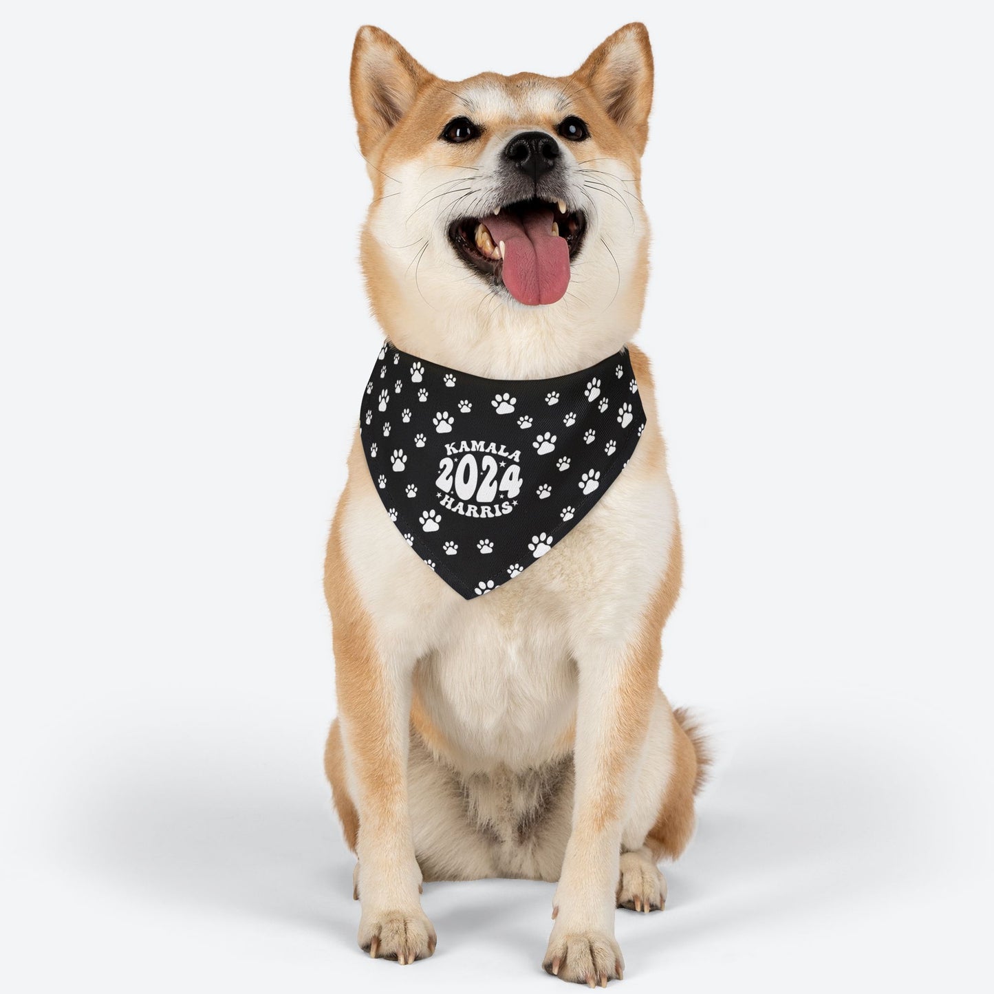 Paw Patrol - black