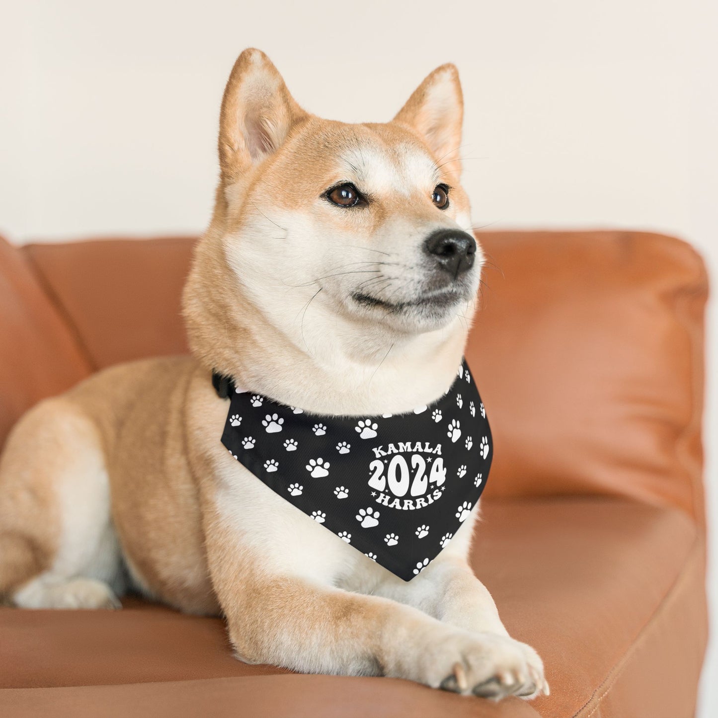 Paw Patrol - black