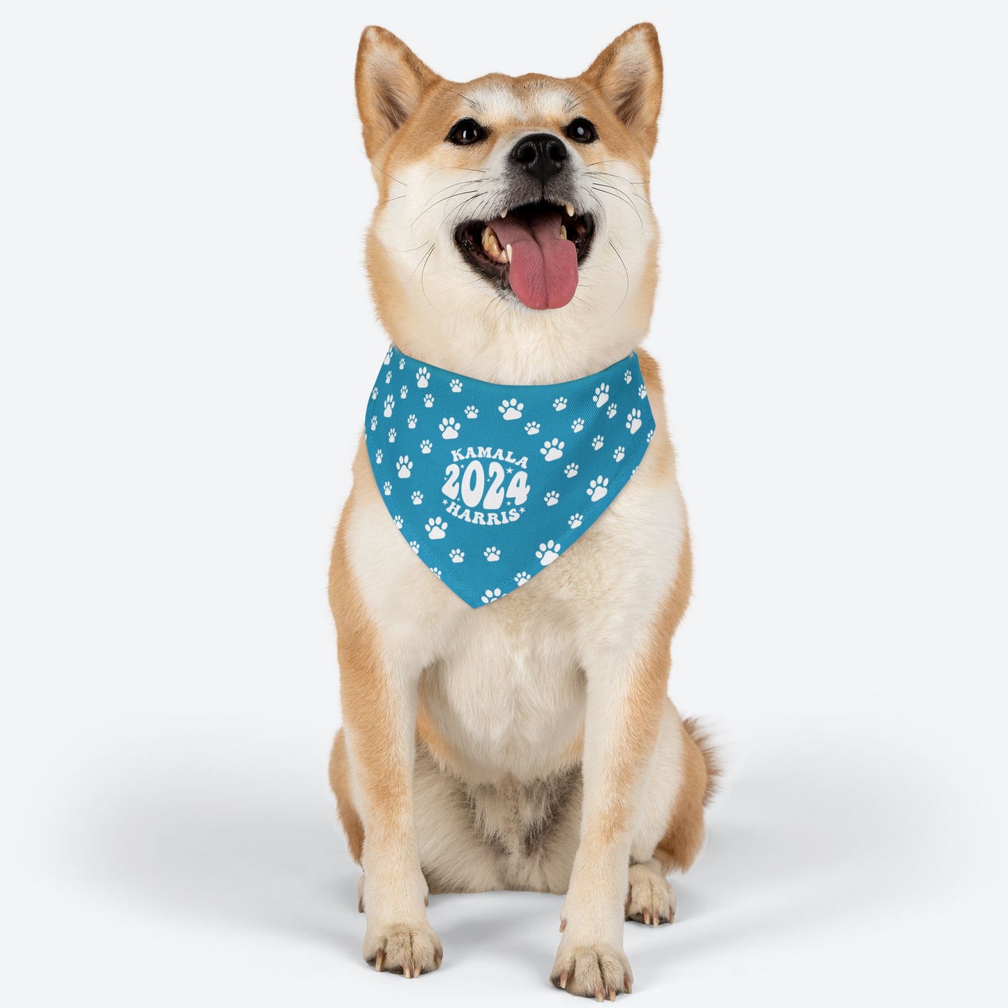 Paw Patrol - turquoise