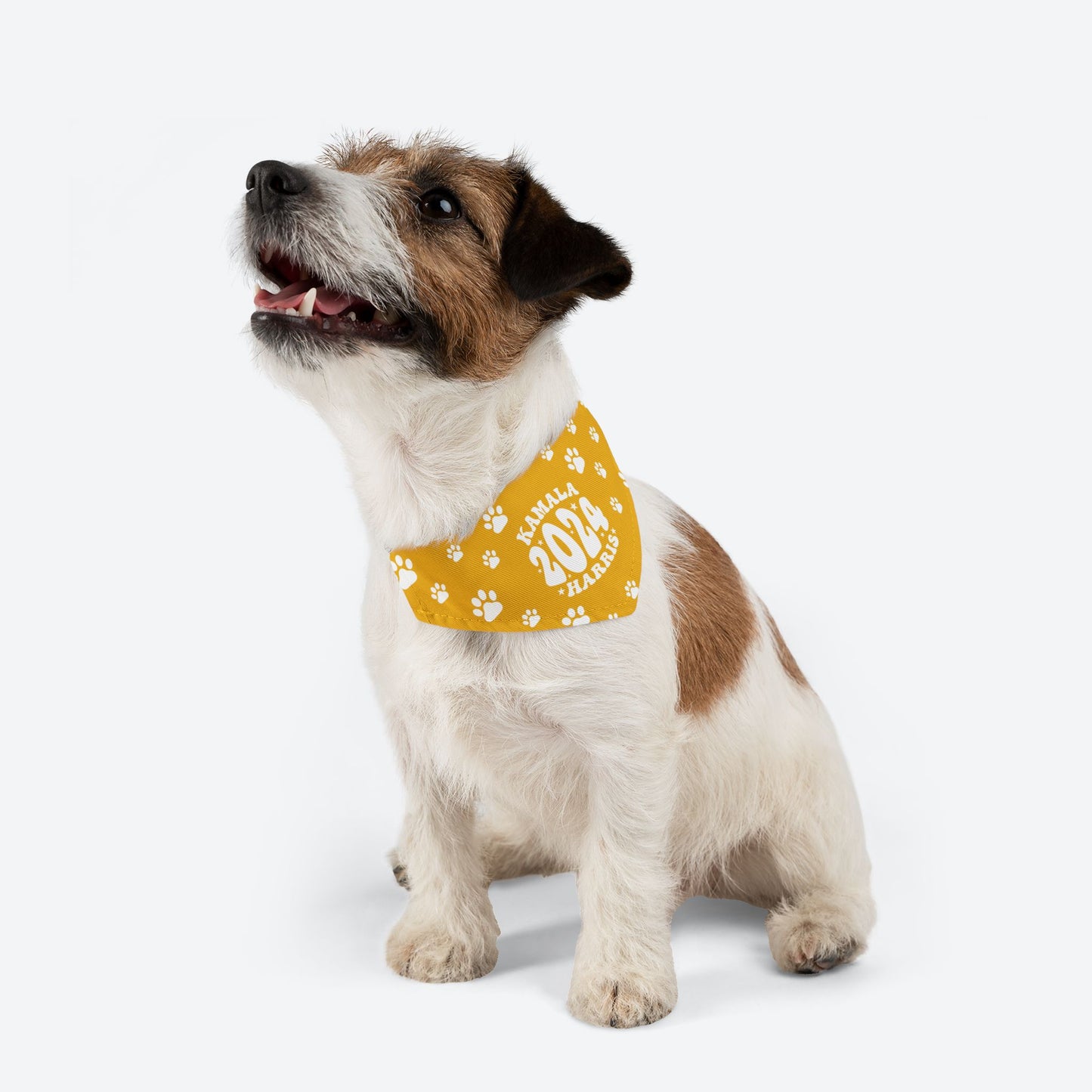 Paw Patrol - yellow