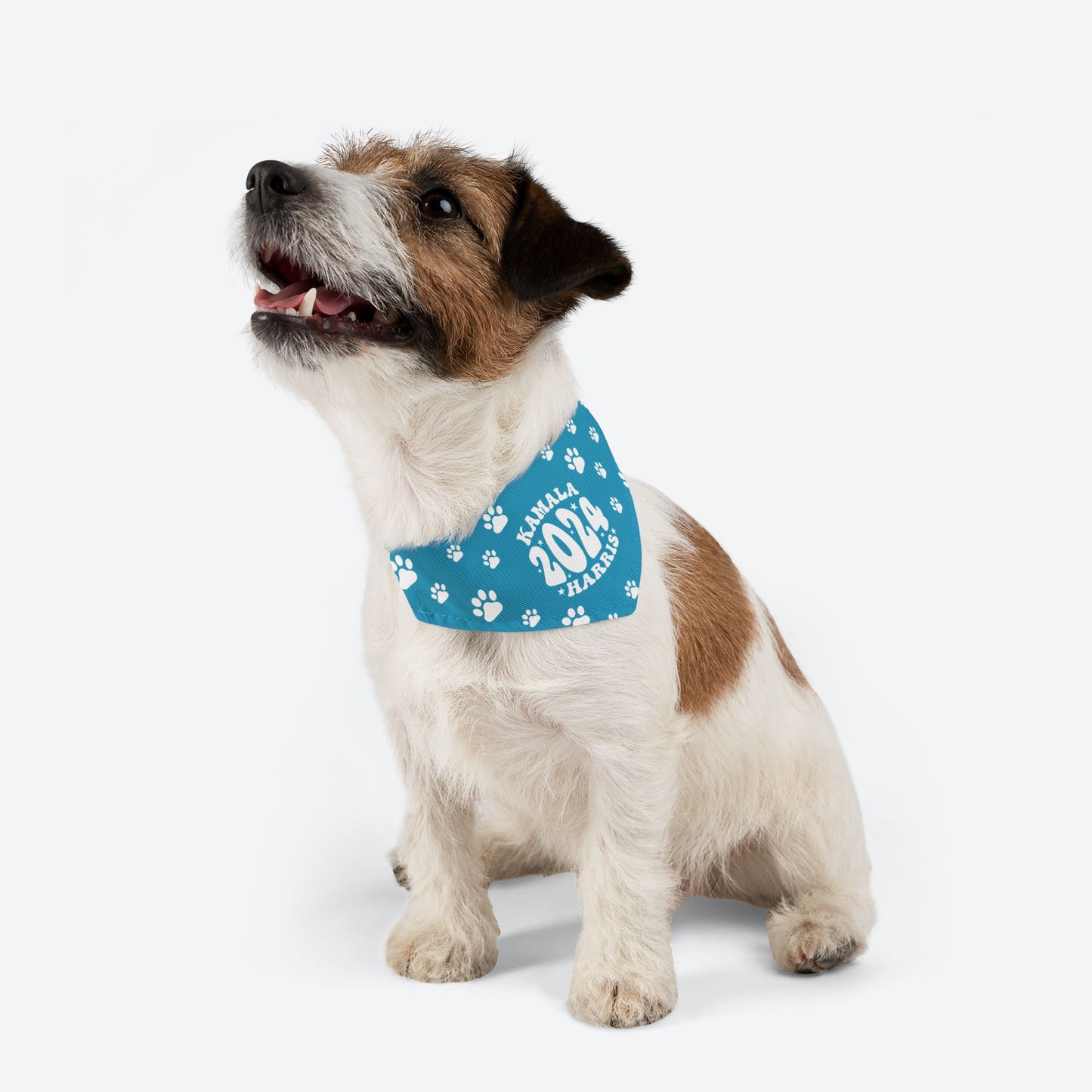 Paw Patrol - turquoise