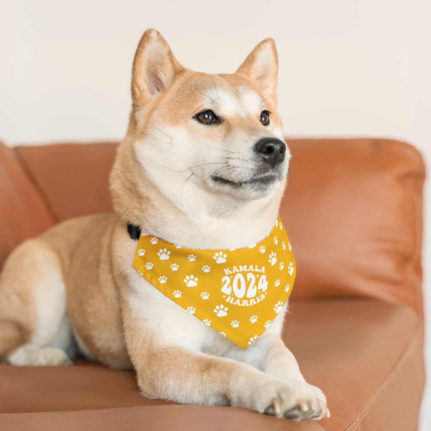 Paw Patrol - yellow