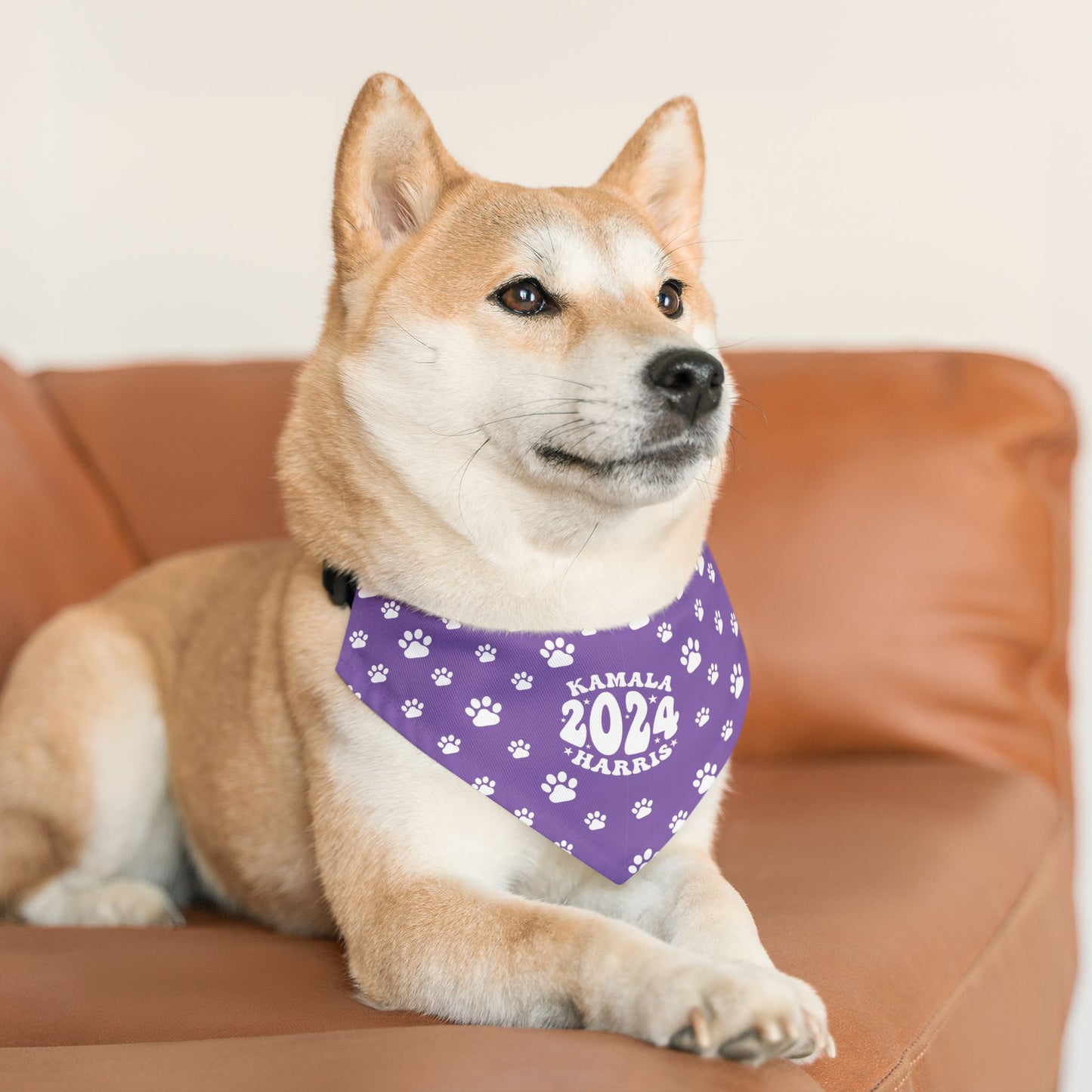 Paw Patrol - light purple