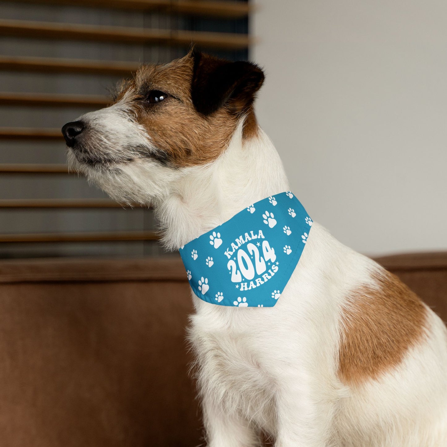 Paw Patrol - turquoise