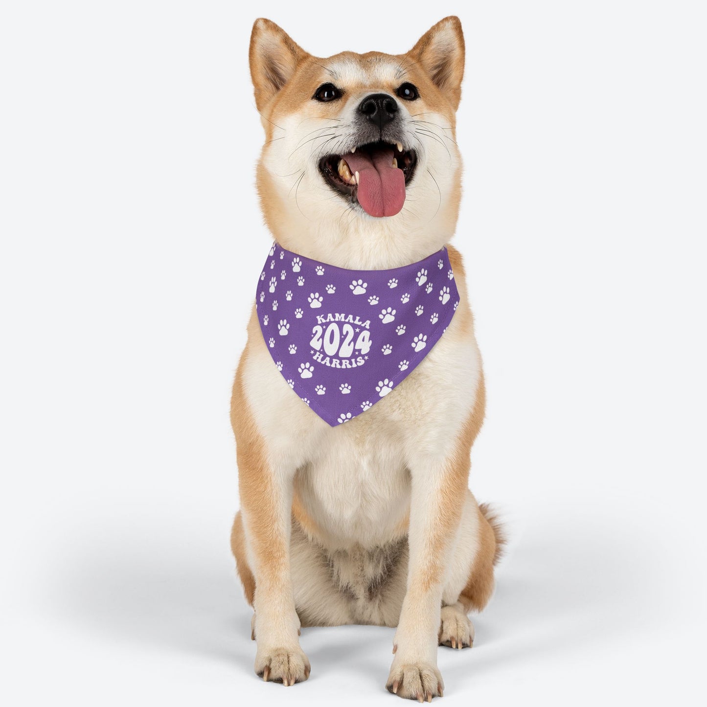 Paw Patrol - light purple