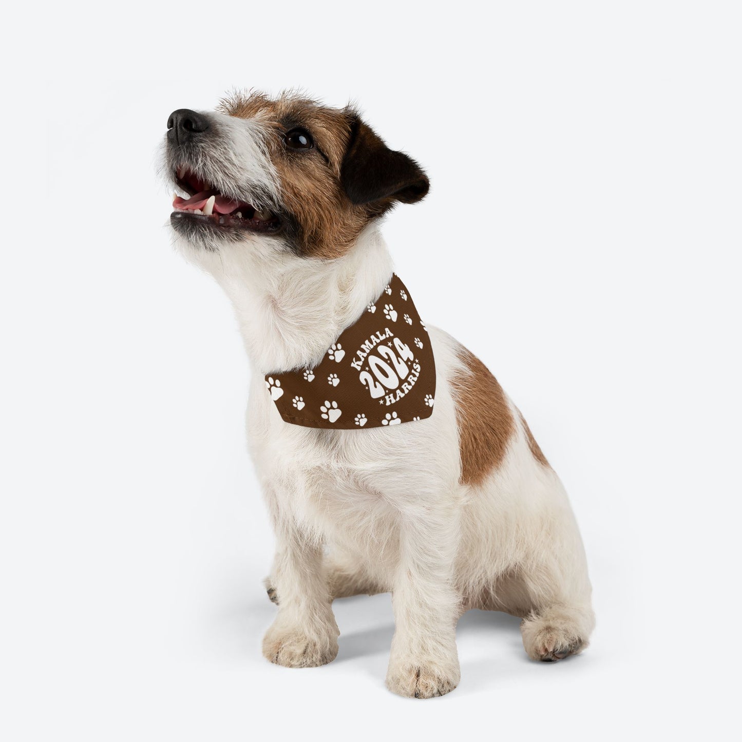 Paw Patrol - dark brown