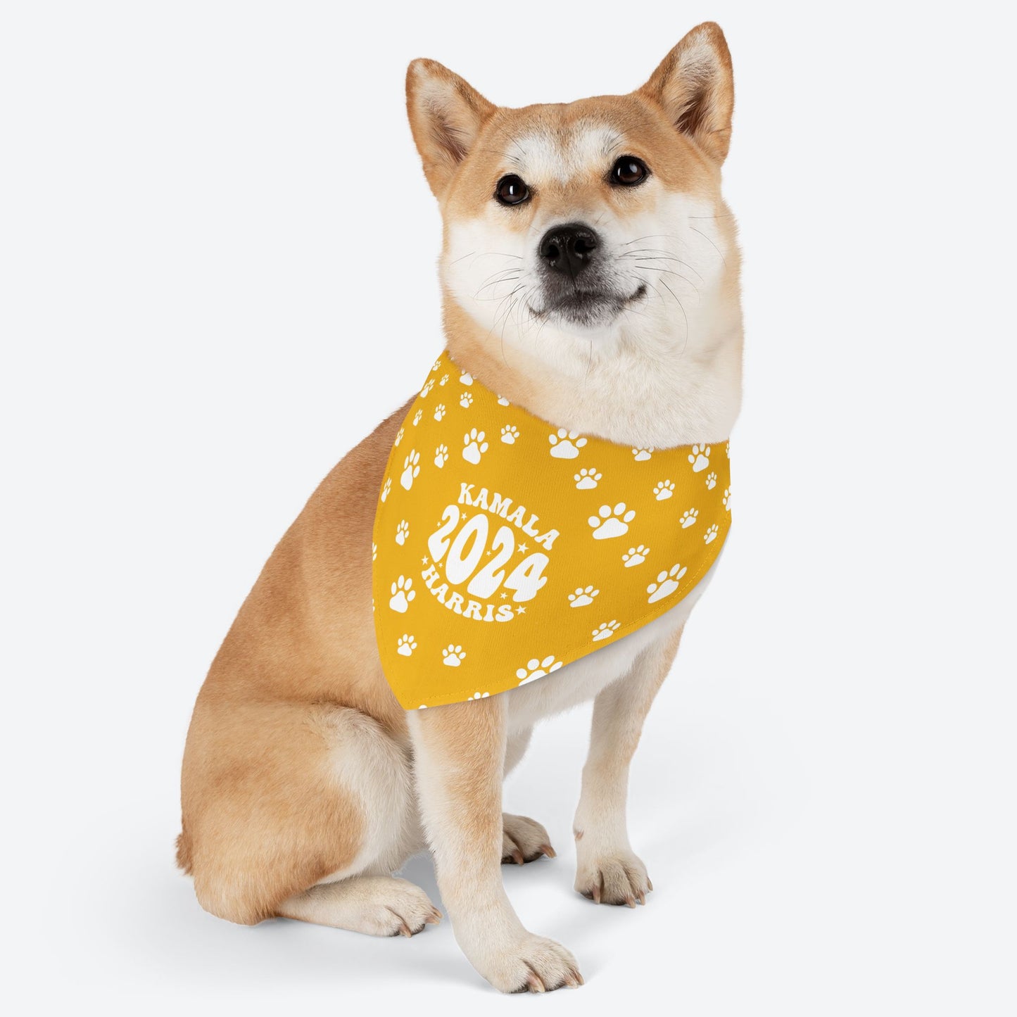 Paw Patrol - yellow
