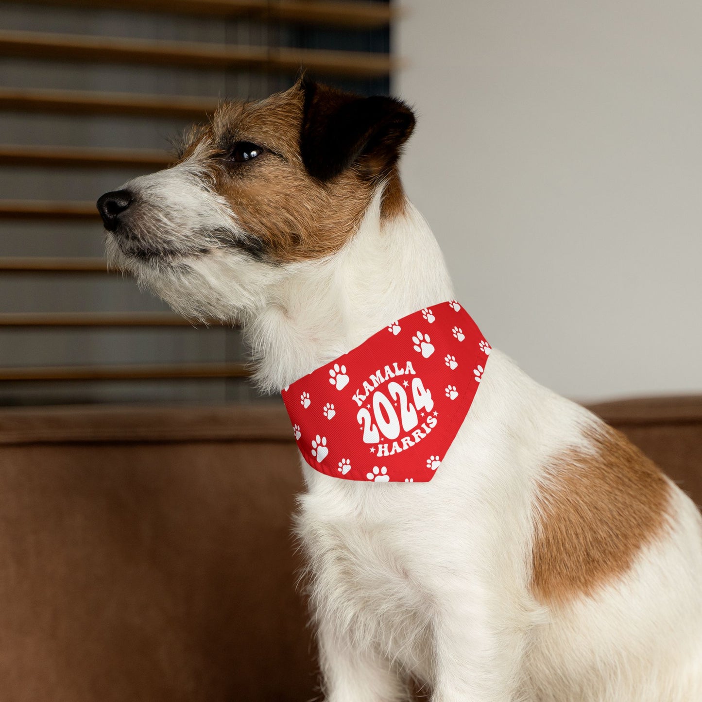 Paw Patrol - bright red