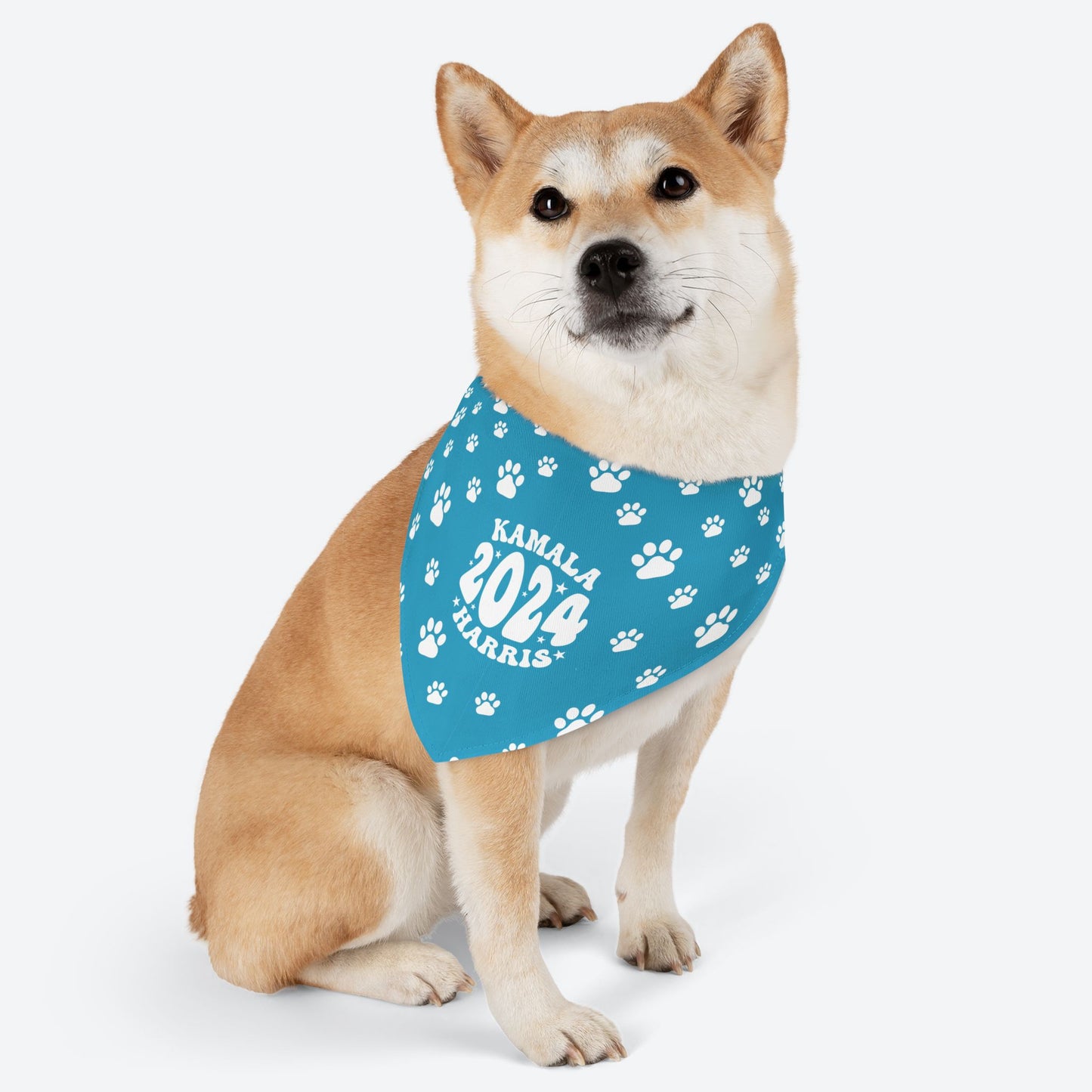 Paw Patrol - turquoise