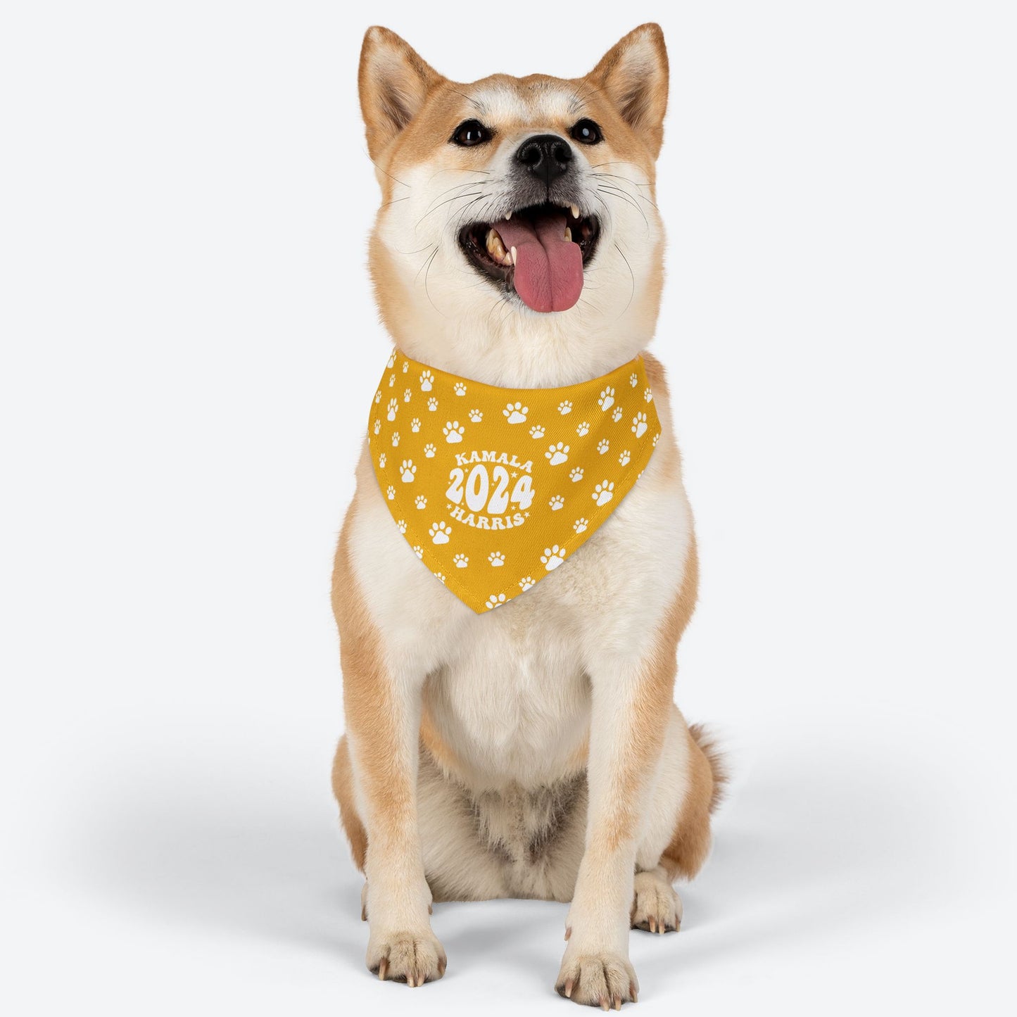 Paw Patrol - yellow