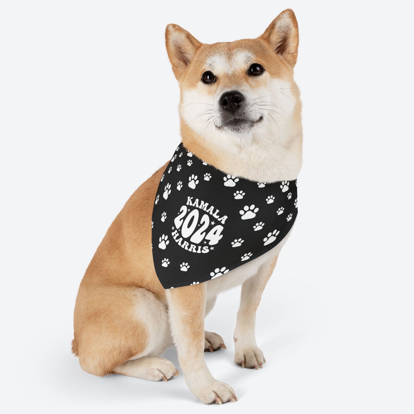 Paw Patrol - black